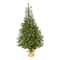 5ft. Pre-Lit Fraser Fir Artificial Christmas Tree, Clear LED Lights